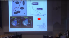 MRI in rectal cancer